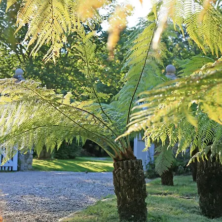 Des Fougeres Cherbourg-en-Cotentin