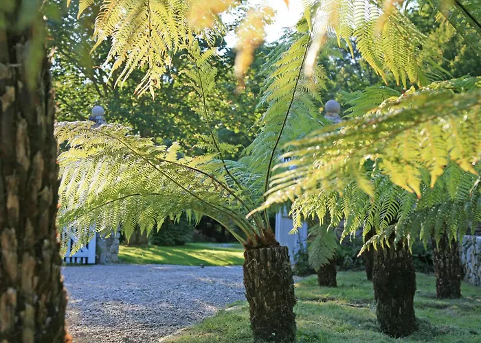 Des Fougeres Cherbourg-en-Cotentin