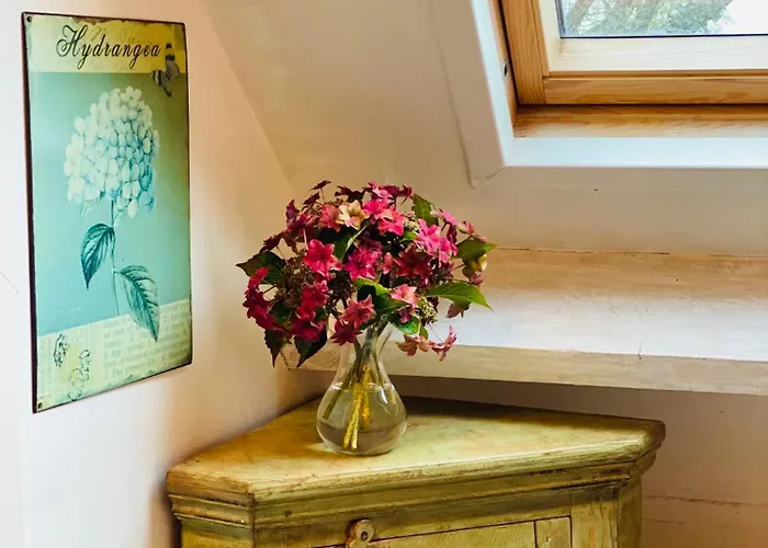 Vakantiehuis Des Fougeres *